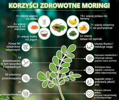 ✨𝐇𝐇𝐕𝐁® 𝐆𝐋𝐏-𝟏 𝐒𝐥𝐢𝐦𝐦𝐢𝐧𝐠 & 𝐇𝐞𝐚𝐥𝐭𝐡 𝐁𝐨𝐨𝐬𝐭 𝐃𝐫𝐨𝐩𝐬👨‍⚕️(𝐅𝐨𝐨𝐝-𝐠𝐫𝐚𝐝𝐞 𝐅𝐚𝐭 𝐁𝐮𝐫𝐧𝐞𝐫 – (WYPRÓBUJ ZROBIĆ TO SOBIE)✨✨