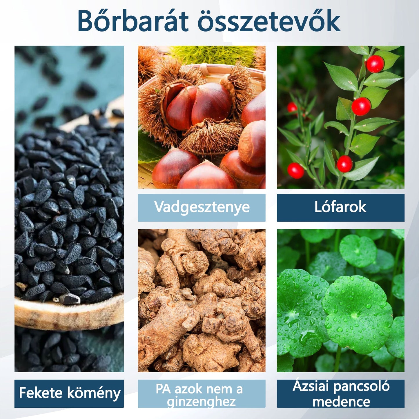 💧💧💧ATTDX® Növényi ödéma enyhítő krém nigellával