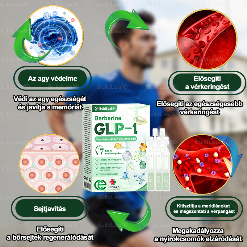 🍀 Klinikai kutatásokkal igazolt | A BuildLeaf® Berberine GLP-1 Pro Súlycsökkentő Szájon át szedhető oldat segíthet a makacs súlytöbblet, anyagcsere- és energiaproblémák kezelésében, támogatva a jobb közérzetet és vitalitást