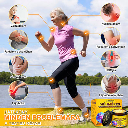 👍XRLXRL™ Méhméreg Fájdalomcsillapító Csontregeneráló Krém (Speziell für ältere Erwachsene & von der AAOS empfohlen)