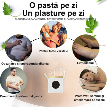 🔥🔥70% reducere - [Certificare CE] 🐝XRLXRL® Plasturi Detoxifianti Limfatici cu Venin de Albine🔥